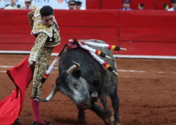 Habrá en CDMX parlamento abierto para discutir prohibición de corridas de toros