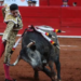 Habrá en CDMX parlamento abierto para discutir prohibición de corridas de toros