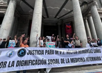 Veterinarios exigen iniciativa para protegerse ante asesinatos; ‘No nos maten’, claman