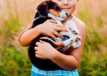 PETCO México llegó a la adopción 100 mil