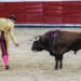 Prohibidas las corridas de toros con violencia en CDMX: Brugada