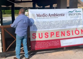 Profepa suspende espectáculos con delfines en el Hotel Barceló Riviera Maya