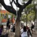 Madres buscadoras instalan El Árbol de la Esperanza en CDMX