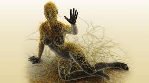 Esclerosis Múltiple: La Enfermedad Invisible que Afecta a Miles en Silencio