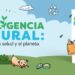 Recetas para conmemorar el Día Mundial del Medio Ambiente que encuentras en el libro Inteligencia Natural de editorial Aguilar