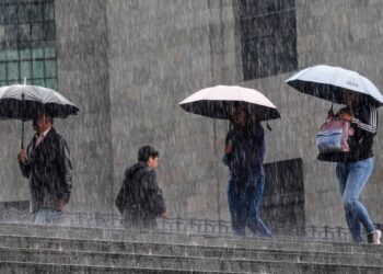 Gil: Onda tropical 8 podría convertirse en ciclón y afectar al sur de México