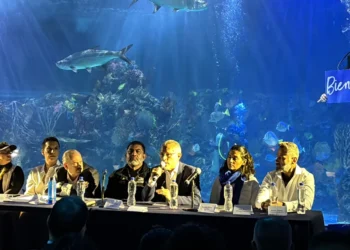 Tiburones sin miedo: el Acuario Inbursa lanza exposición para cambiar la percepción de estos gigantes del mar