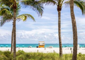 PayPal Pay Later: la fórmula que aumenta ventas de turismo internacional