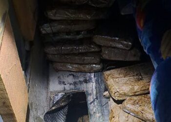 Gabinete de Seguridad detiene a dos personas con 50 kilos de heroína en Sonora