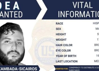 DEA emite ficha de búsqueda por «El Mayito Flaco», hijo del «Mayo» Zambada