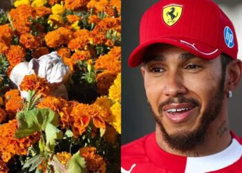 El GP de México recuerda a Roscoe, mascota de Hamilton