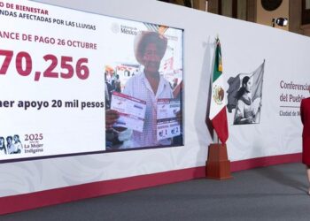 Gobierno de México: se han otorgado 70 mil 256 apoyos a personas afectadas por las lluvias
