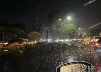 Veracruz emite ALERTA Gris ante amenaza de ‘Norte violento’