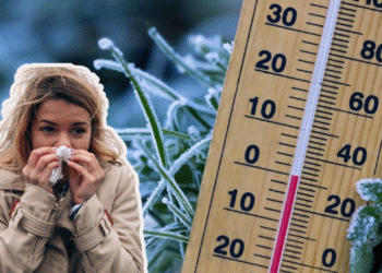 SMN alerta por heladas y bajas temperaturas ante frente frío 12