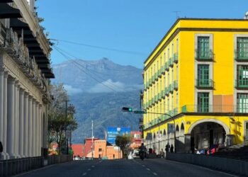 Zonas en Veracruz perciben «fuerte» el sismo de magnitud de 6.5; descartan afectaciones