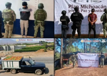 Plan Michoacán: detienen a 12 personas e inhabilitan toma clandestina