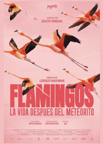 En el Día Mundial de la Naturaleza se anuncia el estreno del documental Flamingos: la vida después del meteorito