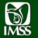 Irregularidades en equipos industriales adquiridos por el IMSS